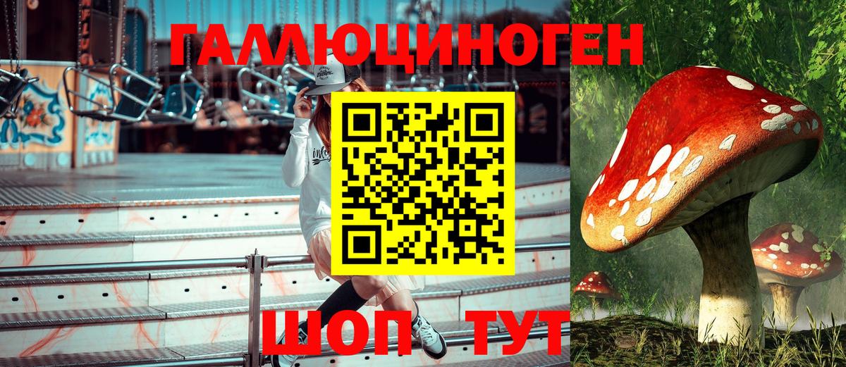 Псилоцибиновые грибы MAGIC MUSHROOMS  Вход с VPN  Нижний Тагил 