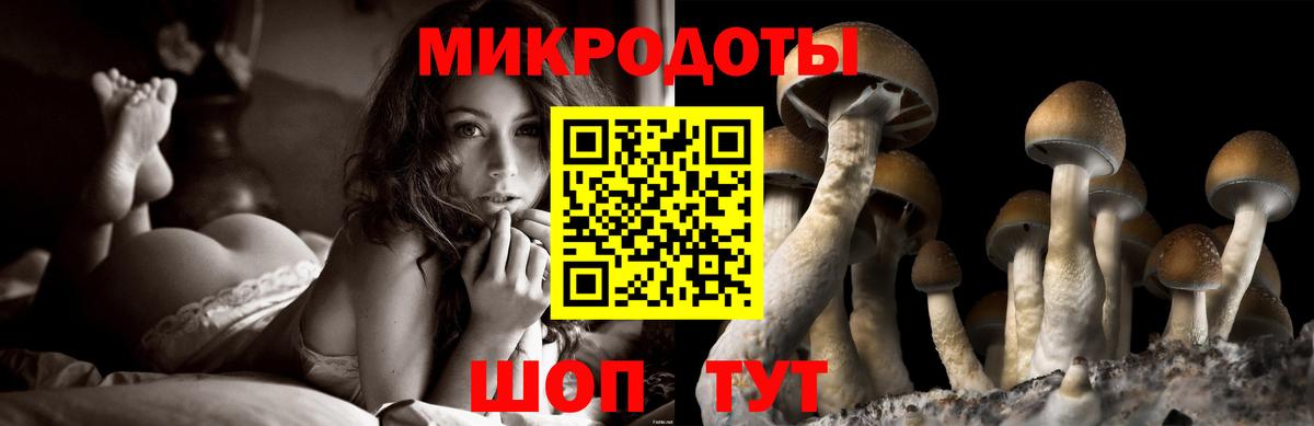 Галлюциногенные грибы ЛСД Нижний Тагил